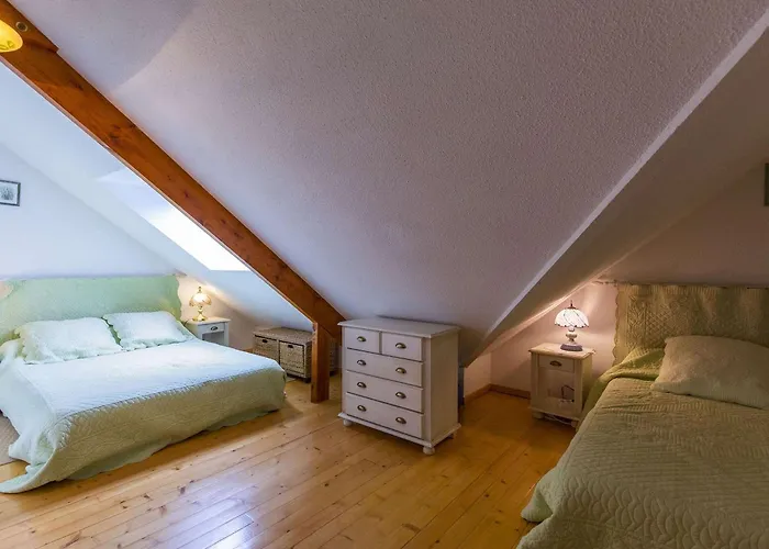 T4 Avec Balcon, 4-6 Pers, Proche Centre Et Telecabine, Navette Gratuite - Fr-1-401-276 Cauterets